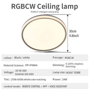 Living Room 24W Slim Ceiling Light Rieworkes