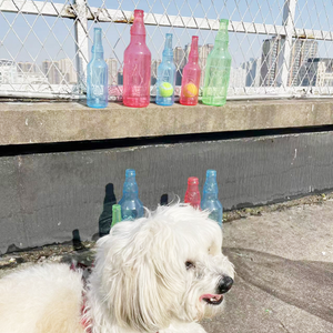 Pet TPR Tennis Bottle Toy Mimarta