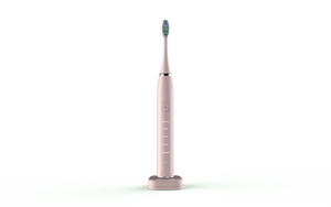 Smart Sonic Dental Care Toothbrush With 8 Brush Heads Rieworkes