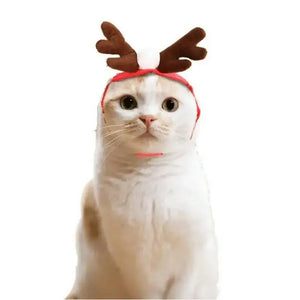 Pet Christmas Clothes Rieworkes