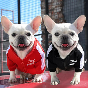Winter Luxury Pet Dog Clothes Rieworkes