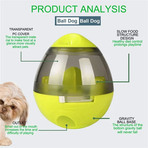 Interactive Cat Toy IQ Treat Ball Smarter Rieworkes