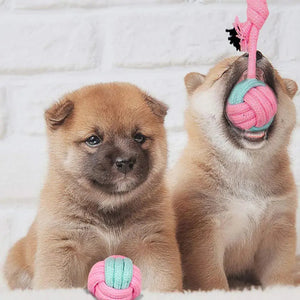Pet Dog Chew Toys Rieworkes