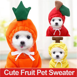 Warm Dog Winter Clothes Cute Fruit Dog Rieworkes