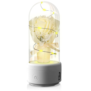 Creative 2 In 1 Bouquet LED Light And Bluetooth-compatible Speaker Mother's Day Gift Rose Luminous Night Light Ornament In Glass Cover Rieworkes