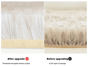 Carpet Soft Rug Rieworkes