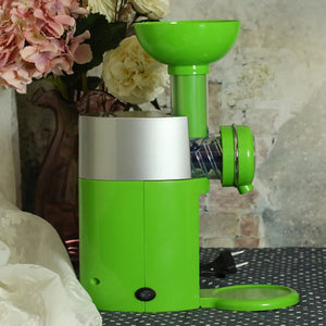Fruit To Dessert Machine Rieworkes