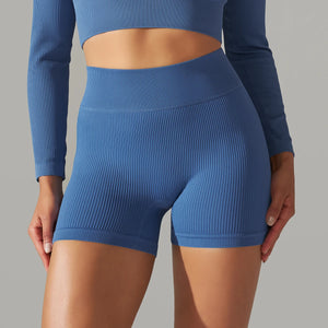 Seamless High Waist Yoga Gym Shorts Rieworkes
