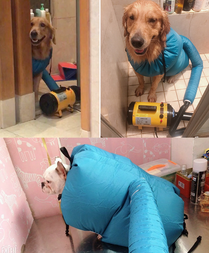 Pet Drying Box, Dryer, and Drying Bag Mimarta