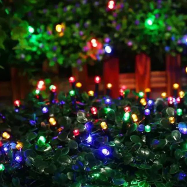 10M LED String Lights with 100 Flashing Bulbs & Black Wire - Rieworkes