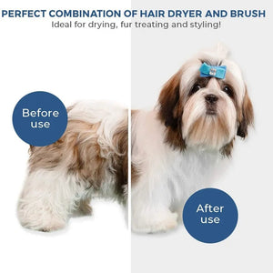 Pet Hair Dryer Rieworkes