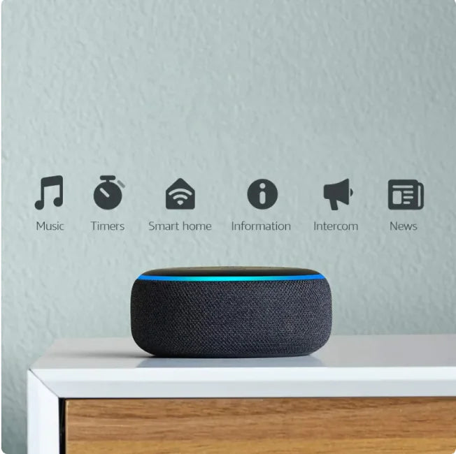 Smart English Learning Wi-Fi Speaker Rieworkes
