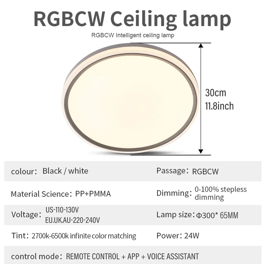 Living Room 24W Slim Ceiling Light Rieworkes
