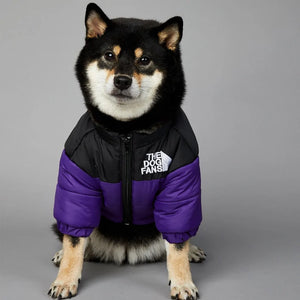 Luxury Winter Dog Jacket Rieworkes