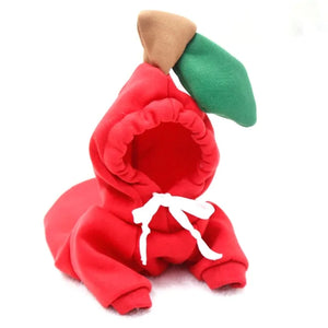Warm Dog Winter Clothes Cute Fruit Dog Rieworkes