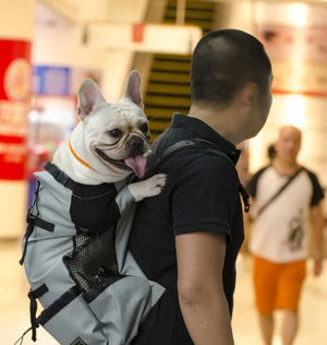 Hiking Pet Dog Carrier Mimarta