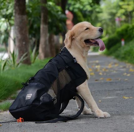 Hiking Pet Dog Carrier Mimarta