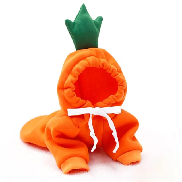 Warm Dog Winter Clothes Cute Fruit Dog Rieworkes