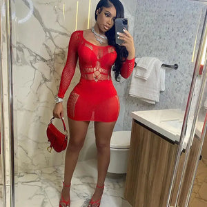 Mesh Cutout Mini Dress Rieworkes