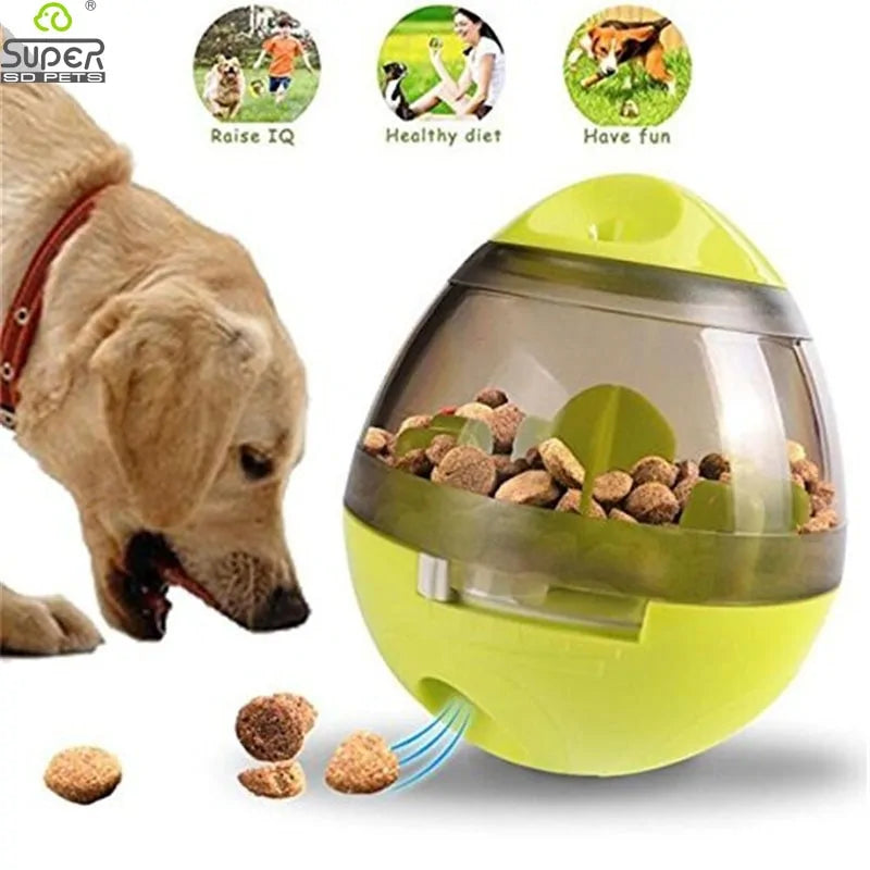 Interactive Cat Toy IQ Treat Ball Smarter Rieworkes