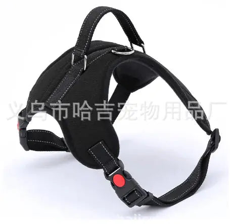 Dog Leashes Rieworkes