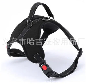 Dog Leashes Rieworkes