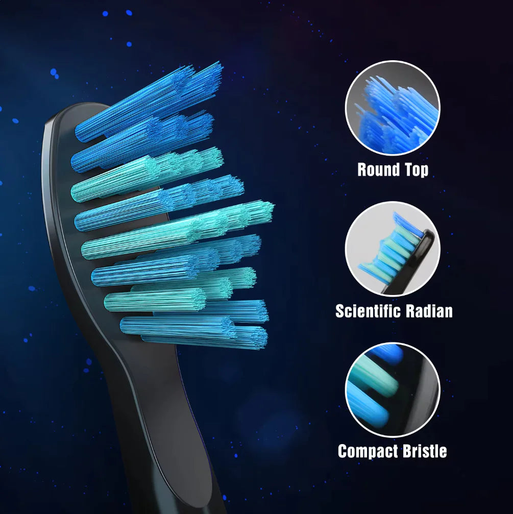 Seago Sonic Toothbrush Electric Toothbrush Cleaning Teeth 5 Modes with 8 Replaceable Brush Heads 2 Min Timer With Portable Box Rieworkes