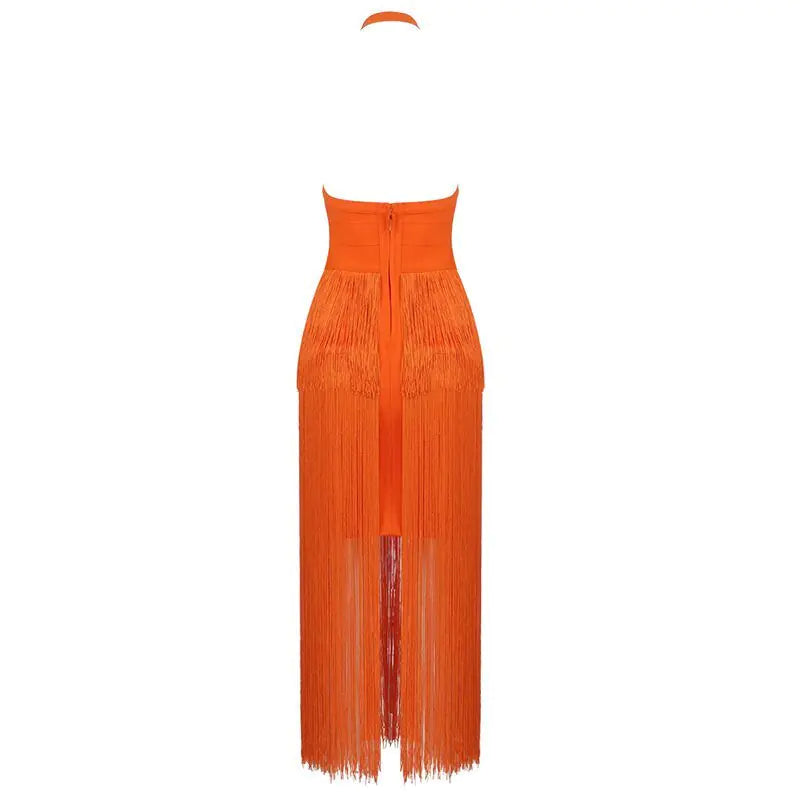 Fringe  Halterneck Backless Dress Rieworkes