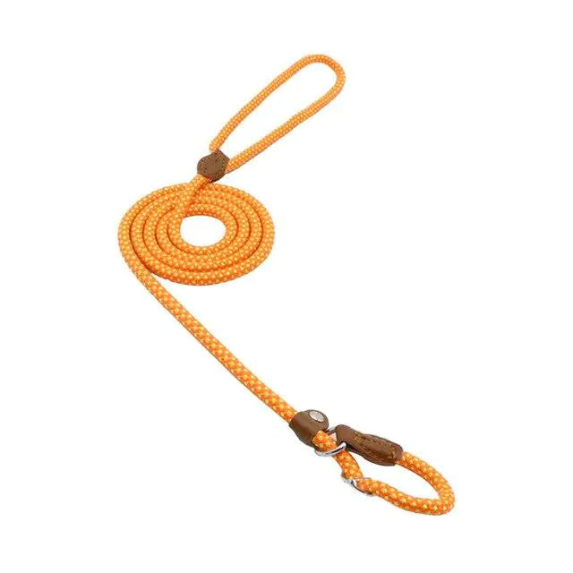 Nylon Pup Set Mimarta