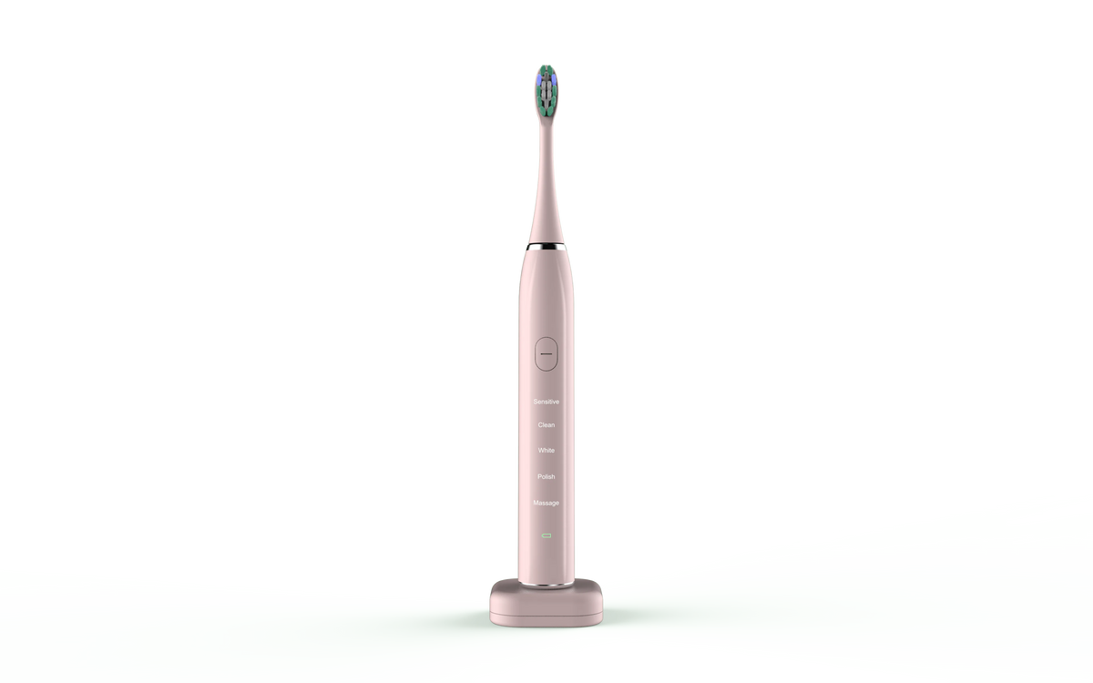 Smart Sonic Dental Care Toothbrush With 8 Brush Heads Rieworkes