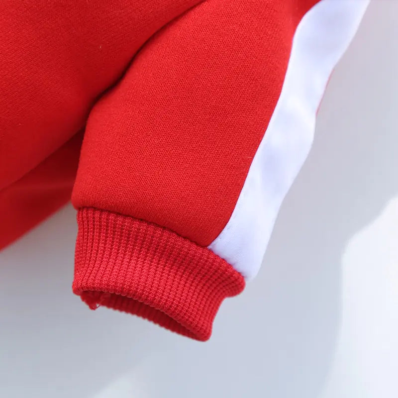 Winter Luxury Pet Dog Clothes Rieworkes