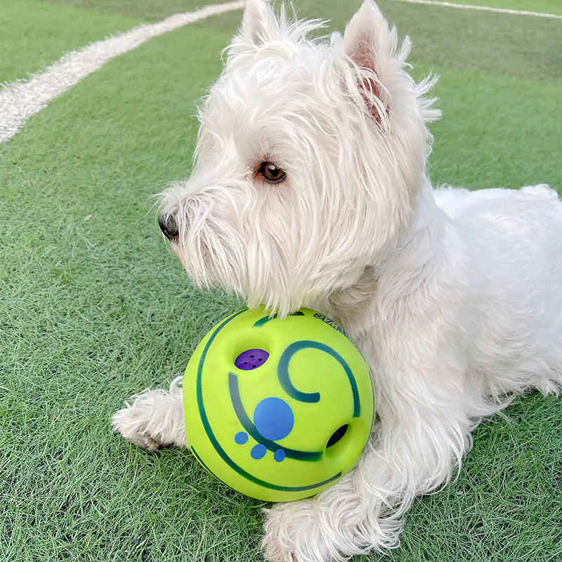 Dog Football Toys Rieworkes