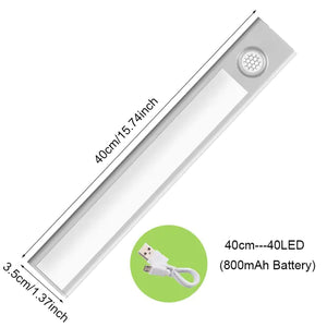 Motion Sensor Light Cabinet Lighting Kit Rieworkes