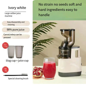 Automatic High Extraction Juice Machine for Home Use Rieworkes
