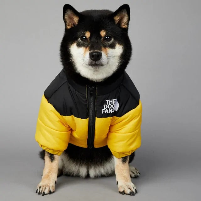 Luxury Winter Dog Jacket Rieworkes