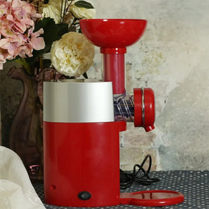 Fruit To Dessert Machine Rieworkes