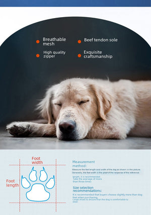Non-Slip Waterproof Dog Booties Mimarta