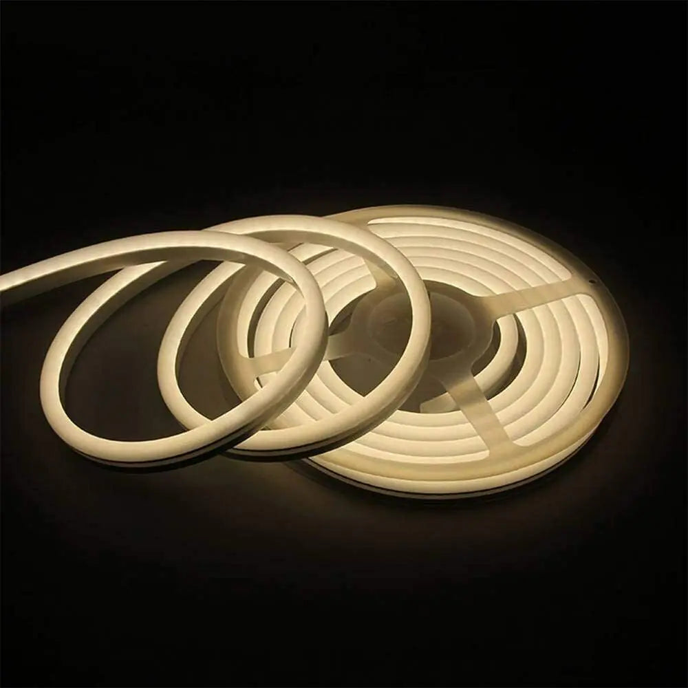 1M 2M 3M 5M 12V Flexible Sign Neon Lights Silicone Tube LED Strip Waterproof USA Rieworkes