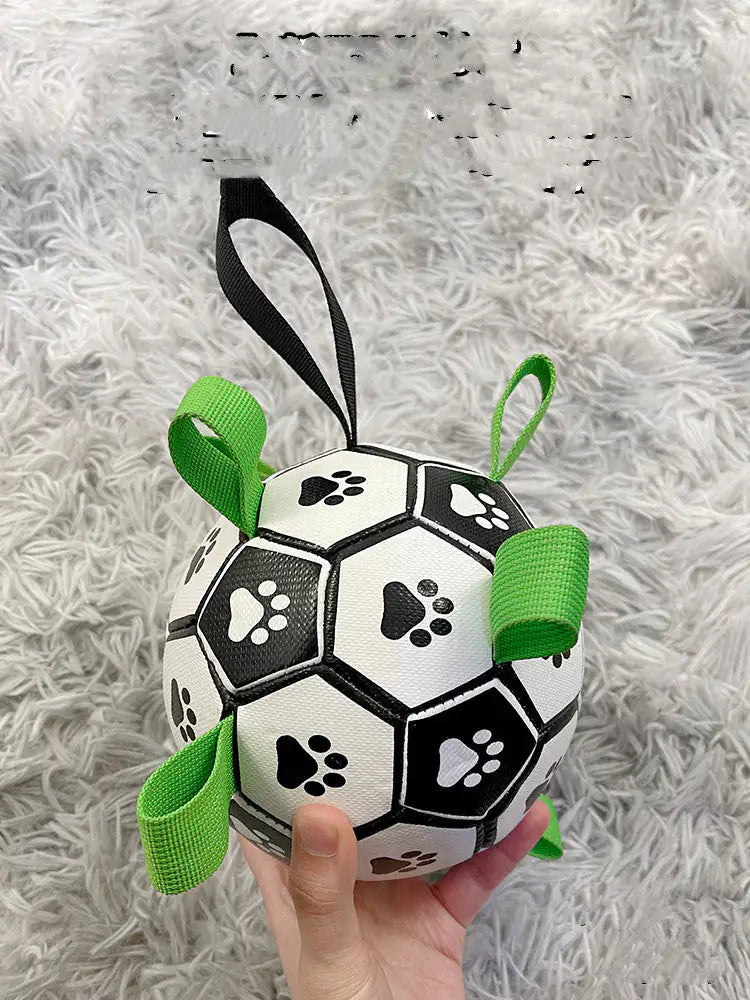 Dog Football Toys Rieworkes