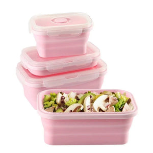 Pack & Go Collapsible Lunch Box Rieworkes