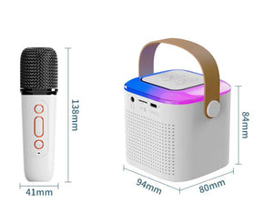 Bluetooth Karaoke Machine Rieworkes