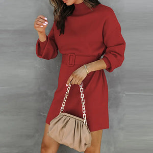 Elegant Turtleneck Sweater Dress with Belt Rieworkes