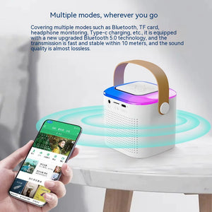 Bluetooth Karaoke Machine Rieworkes