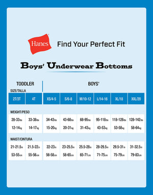 Hanes boys Potty Trainer Underwear 6-Pack 4T Briefs - Blue/Print Assorted - 6 Pack Rieworkes