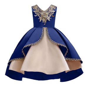 Elegant Dress For Girls Rieworkes