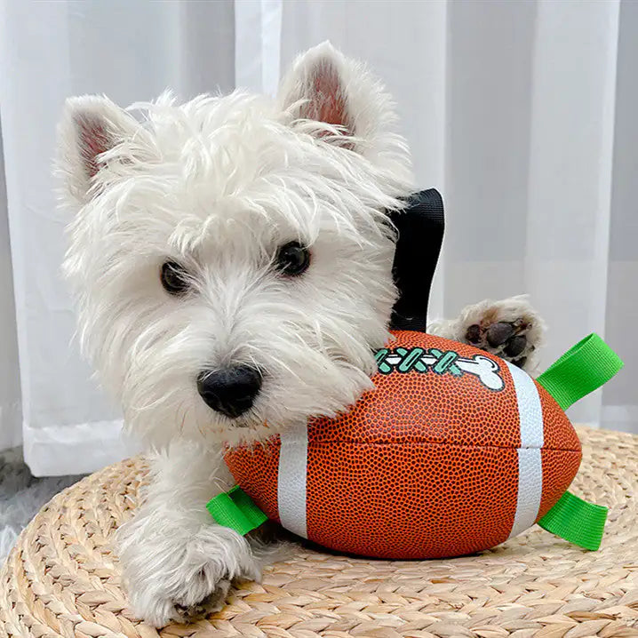 Dog Football Toys Rieworkes