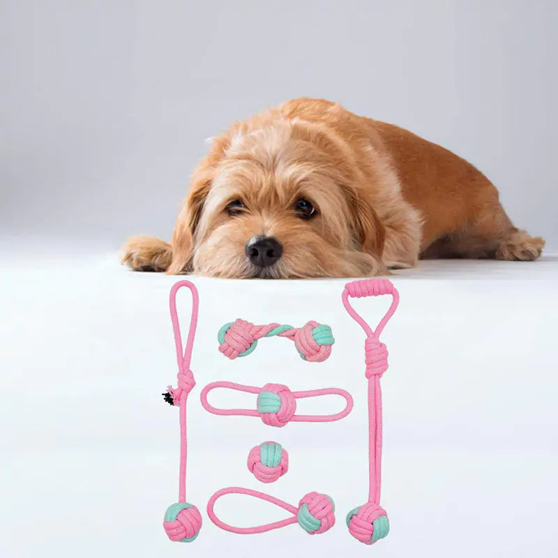 Pet Dog Chew Toys Rieworkes