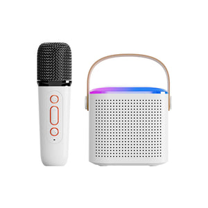 Bluetooth Karaoke Machine Rieworkes