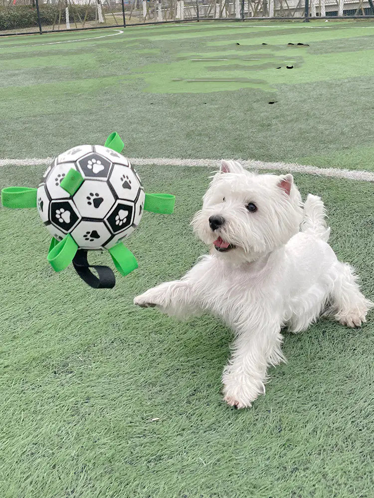 Dog Football Toys Rieworkes