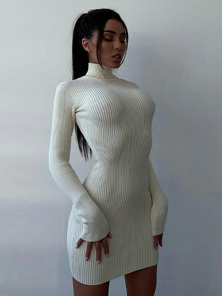 Turtleneck Maxi: Elegant Sweater Dress Rieworkes